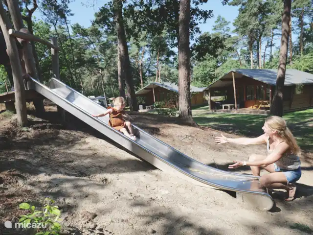 Safari lodge de luxe | Pays-Bas, Overijssel, Raalte - cabane en bois / lodge Safari Lodge Deluxe