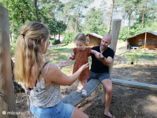 Safari lodge de luxe | Pays-Bas, Overijssel, Raalte - cabane en bois / lodge Safari Lodge Deluxe