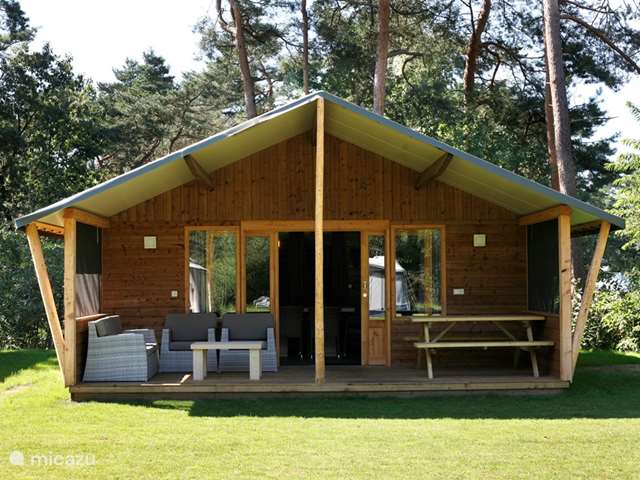 Holiday home in Netherlands, Overijssel, Lemelerveld - cabin / lodge Safari Lodge deluxe