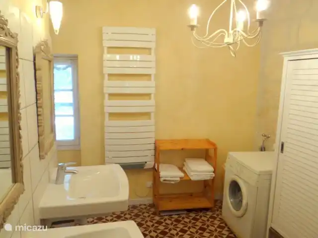 Location de Vacances France, Bouches-du-Rhône, Saint-Étienne-du-Grès, maison de vacances - Maison avec piscine privée et jardin Salle de bains