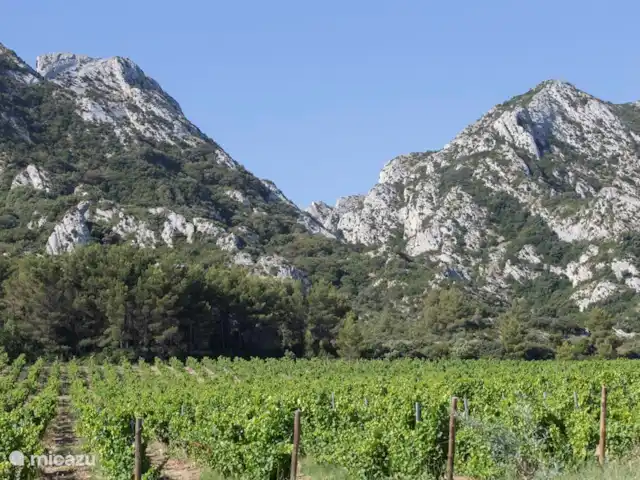 Location de Vacances France, Bouches-du-Rhône, Saint-Étienne-du-Grès, maison de vacances - Maison avec piscine privée et jardin Les vins de Château Romanin