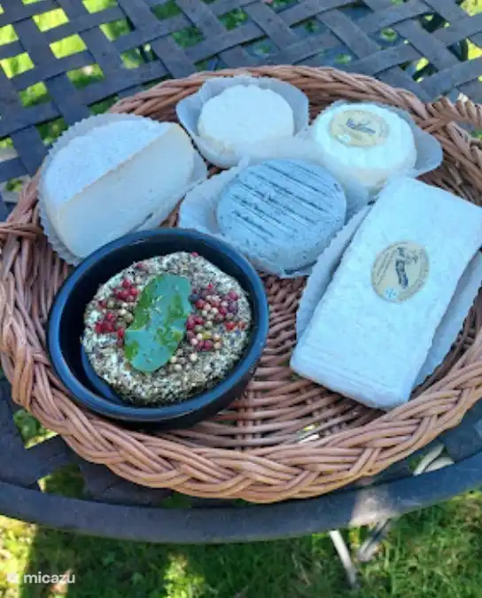 Fromage de chèvre
GAEC La fromagerie des Alpilles à 5 minutes