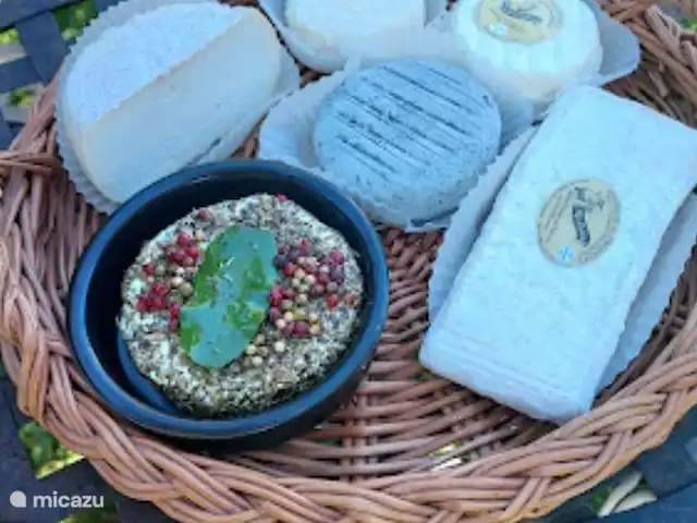 Location de Vacances France, Bouches-du-Rhône, Saint-Étienne-du-Grès, maison de vacances - Maison avec piscine privée et jardin Fromage de chèvre
GAEC La fromagerie des Alpilles à 5 minutes