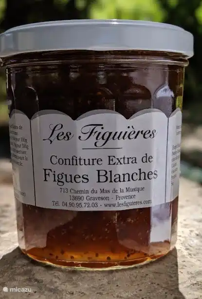 Le figuier local ''Les Figuières''