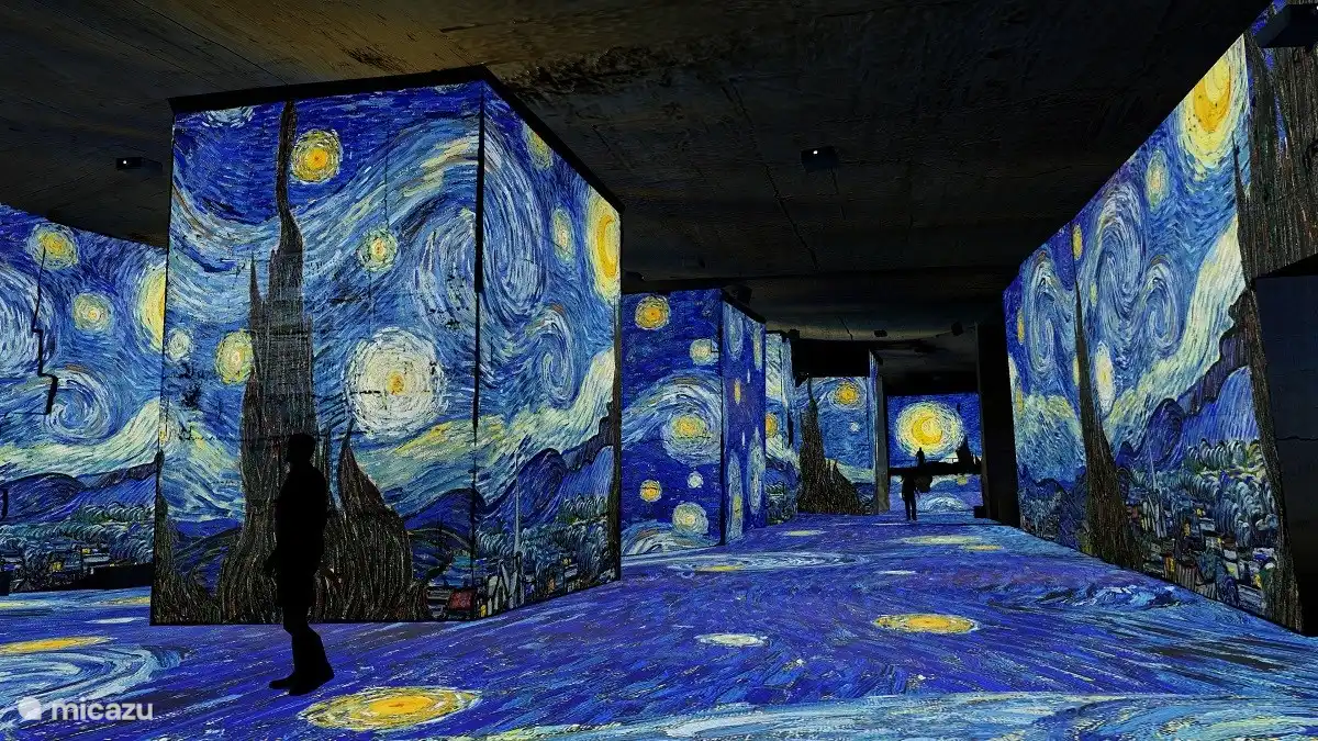 Dans les Alpilles et à côté du village des Baux-de-Provence, l'ancienne carrière monumentale désormais appelée Carrières de Lumières est le lieu d'un concept qui utilise l'image numérique et la musique pour une immersion totale dans les chefs-d'œuvre des plus grands artistes du monde.