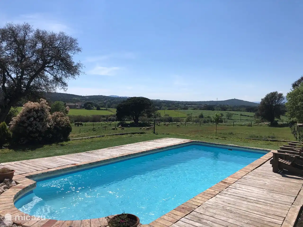 swimming pool in front of the house
