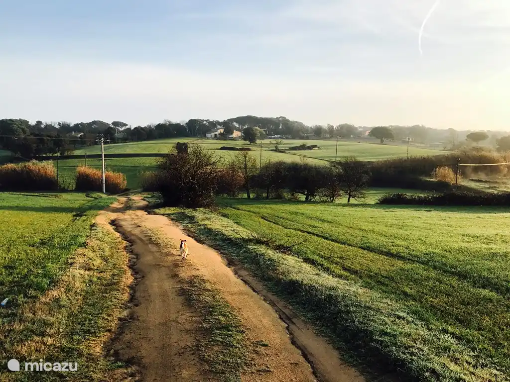 Surroundings Can Companys