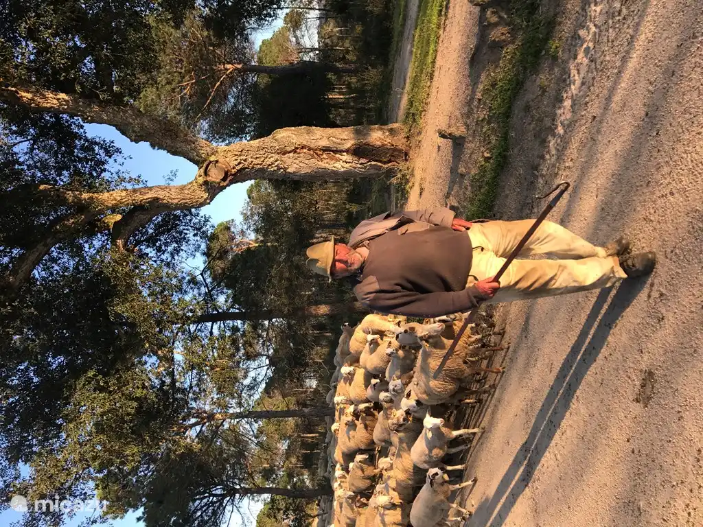 The neighbours./neighbours