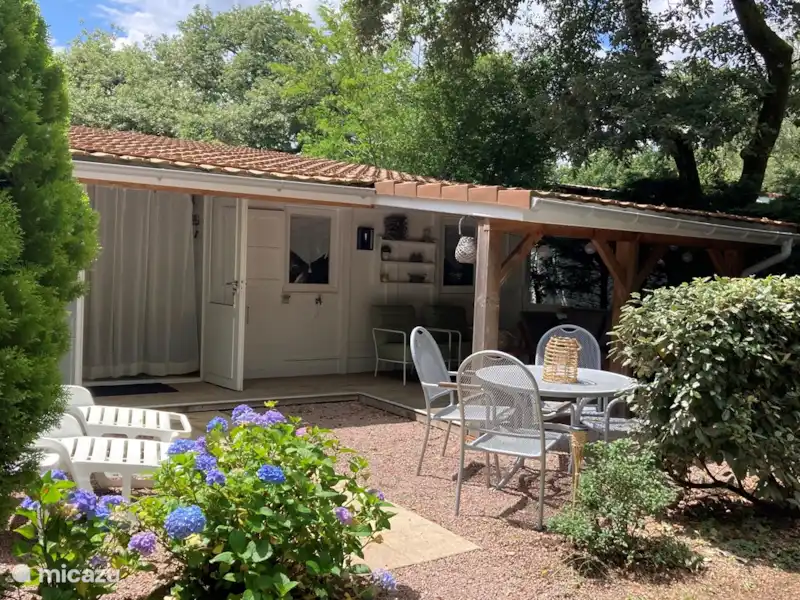 Rent Chalet Chateau le Verdoyer 4**** in Champs-Romain at Micazu