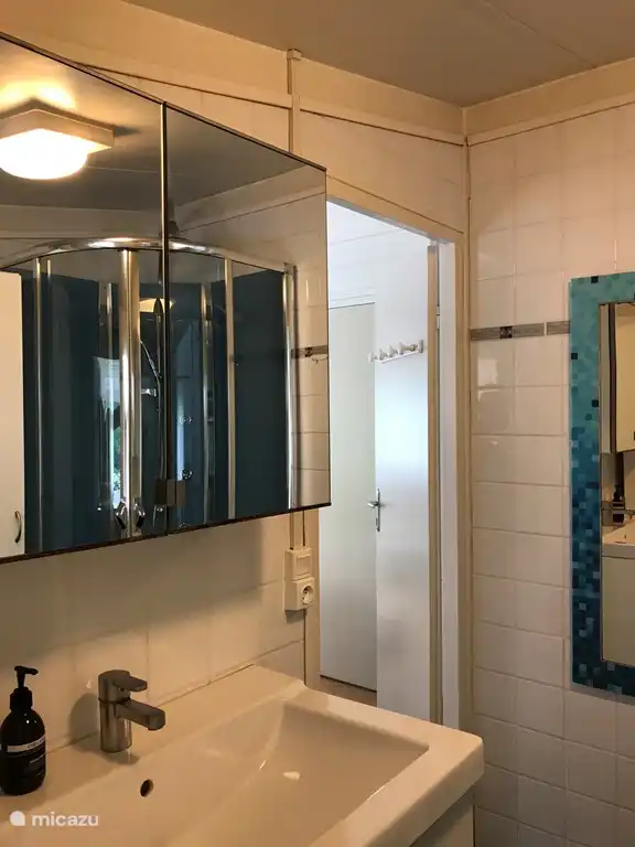 Cuarto de ba&#241;o con ducha, lavabo, mucho espacio de almacenamiento y, por supuesto, aseo