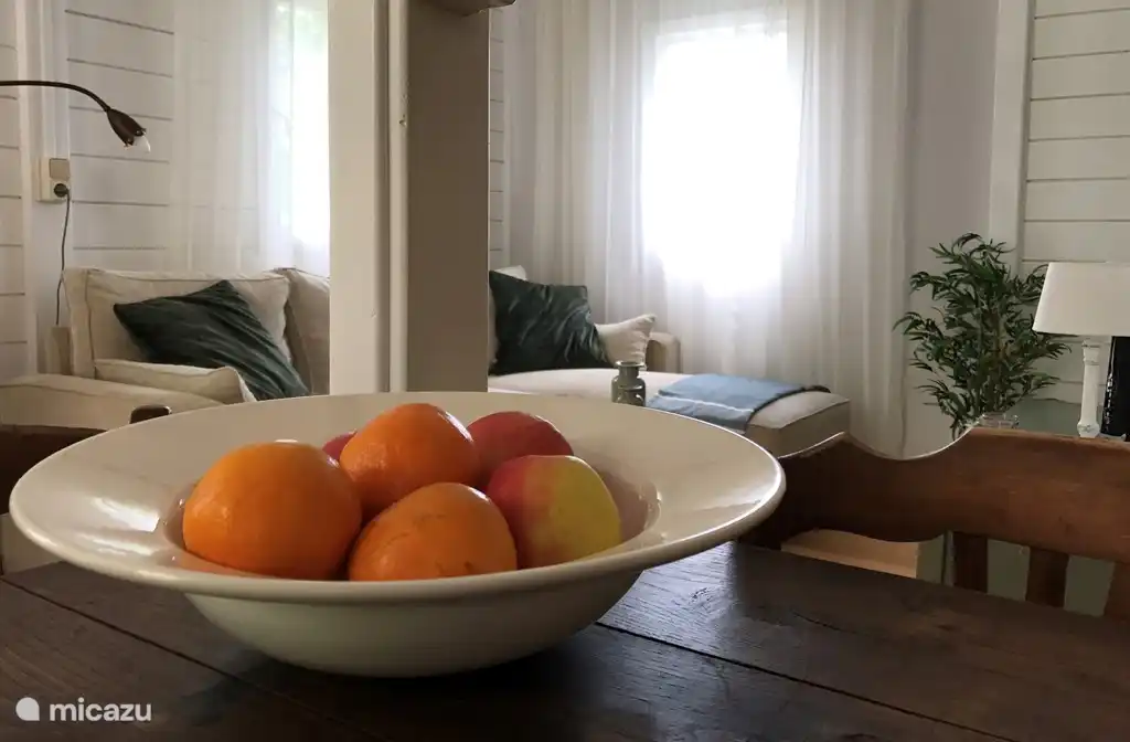 Sal&#243;n luminoso y acogedor