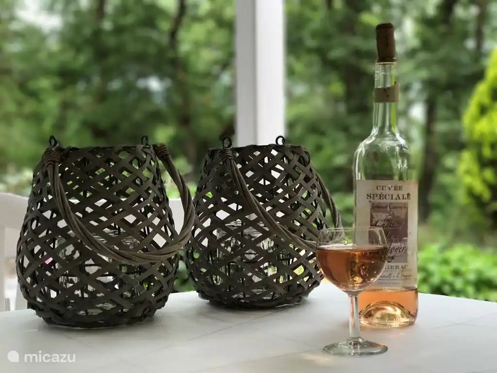 &#161;Disfruta de los deliciosos vinos regionales!