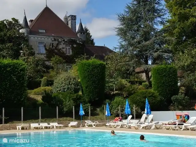 Chalet Château le Verdoyer 4**** | France, Dordogne, Champs-Romain - chalet Piscine extérieure du Château le Verdoyer