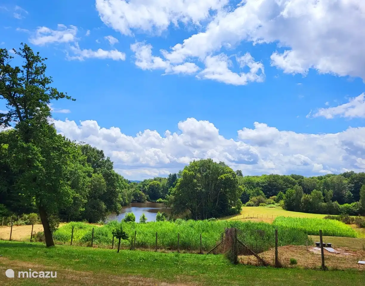 Hay un bonito lago para nadar en el parque