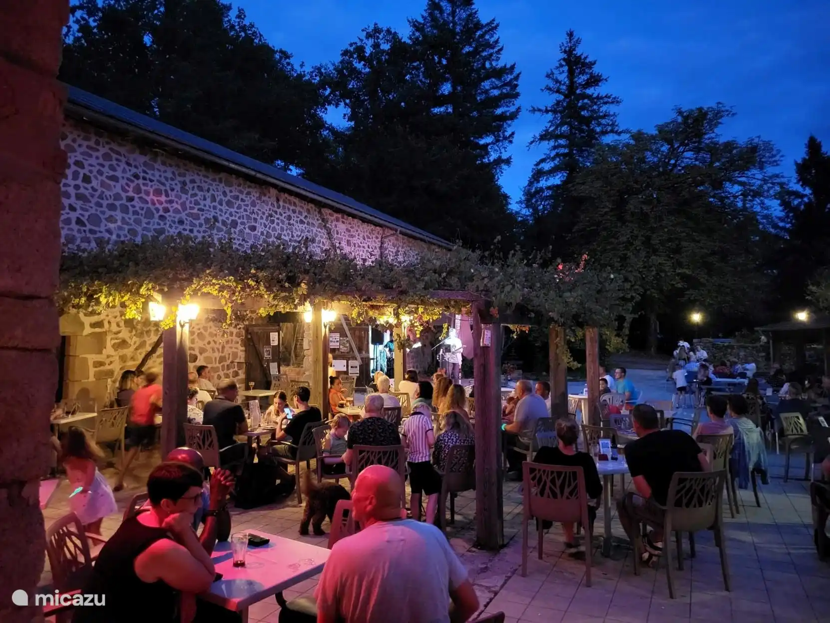 Bebidas atmosf&#233;ricas, con m&#250;sica en vivo