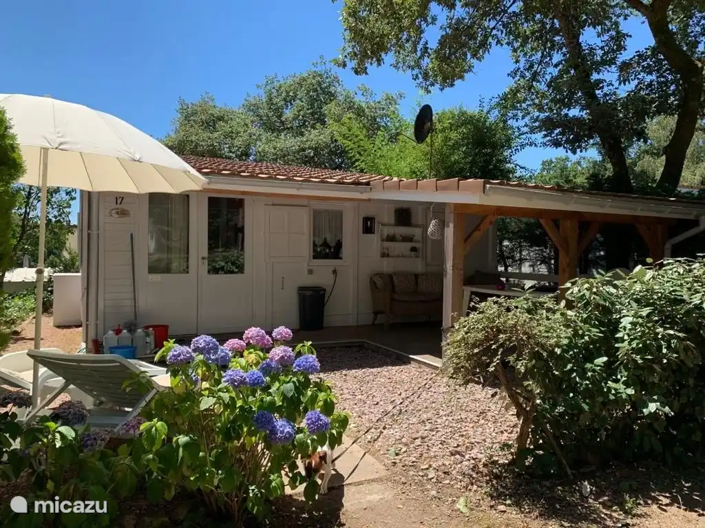 El amplio jard&#237;n ofrece sol y sombra, un lugar maravilloso