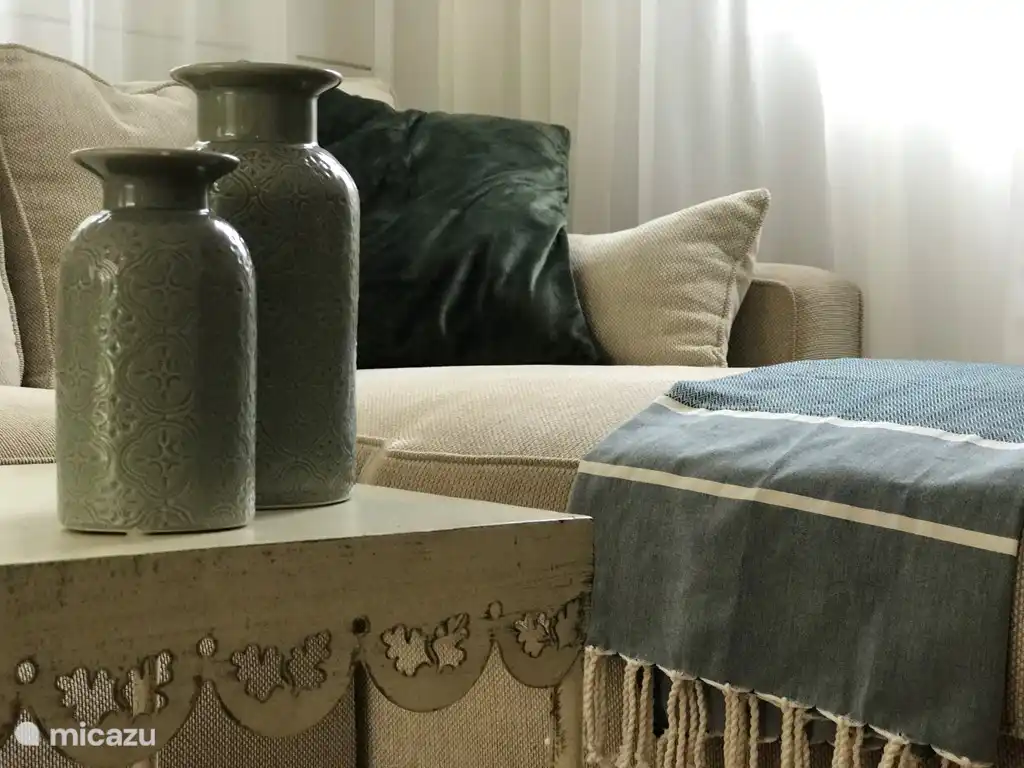 Sal&#243;n del chalet