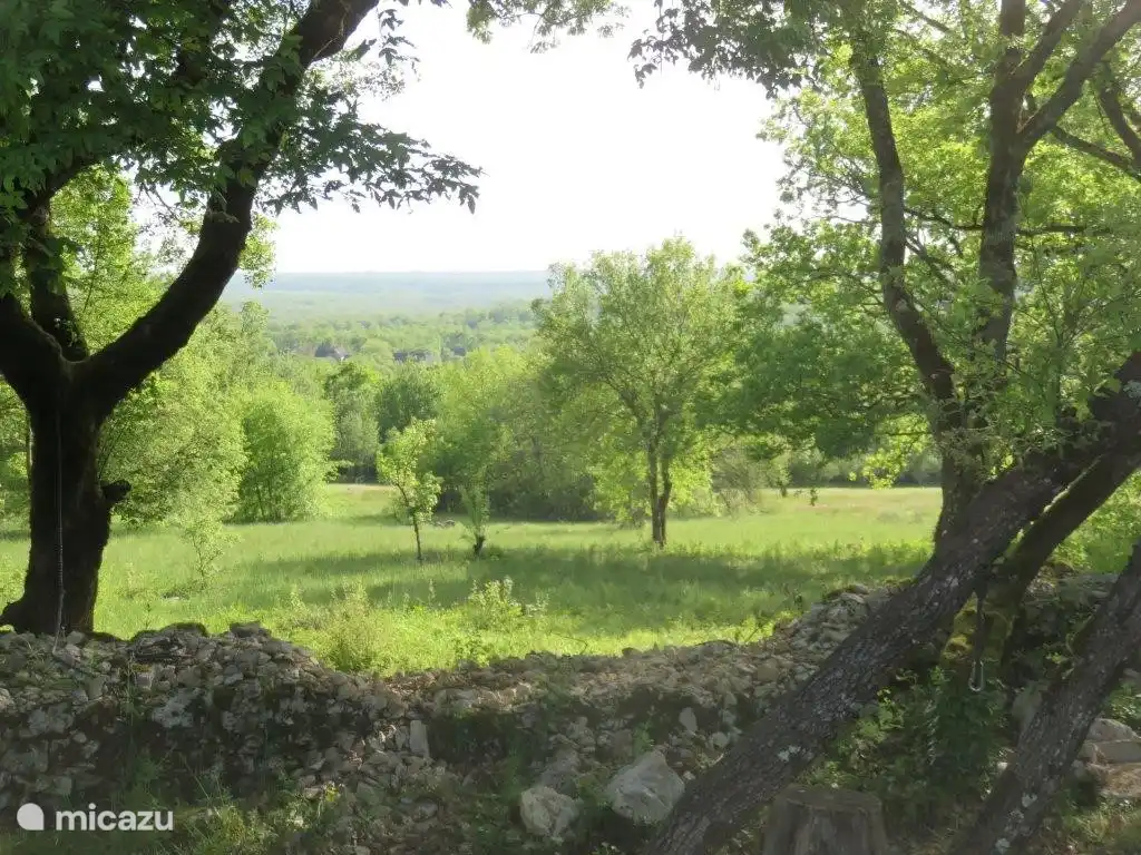 uitzicht achter het terrein