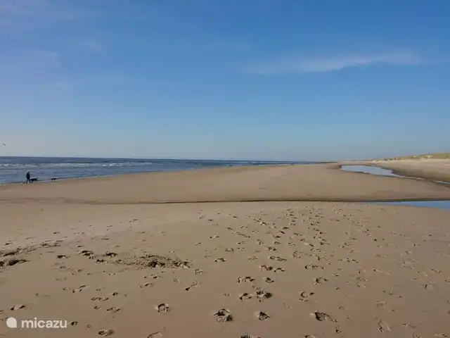 Parc de sable 127 | Pays-Bas, Hollande du Nord, Callantsoog - maison de vacances