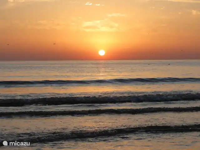 Parc de sable 127 | Pays-Bas, Hollande du Nord, Callantsoog - maison de vacances