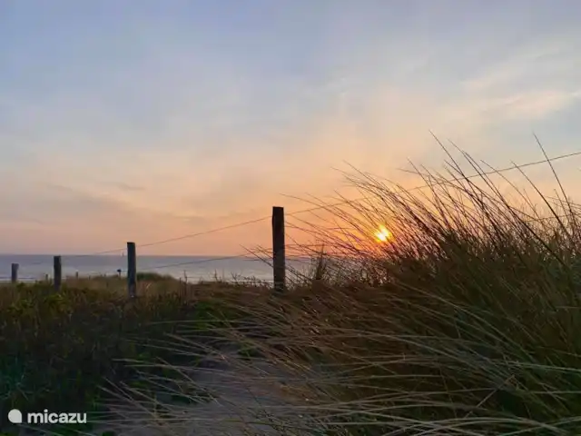 Parc de sable 127 | Pays-Bas, Hollande du Nord, Callantsoog - maison de vacances