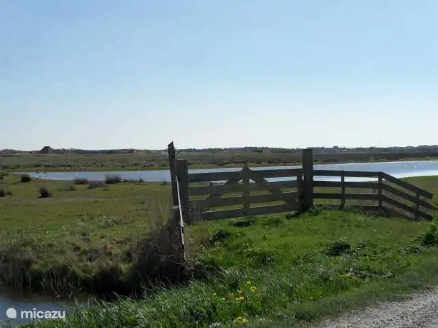Parc de sable 127 | Pays-Bas, Hollande du Nord, Callantsoog - maison de vacances