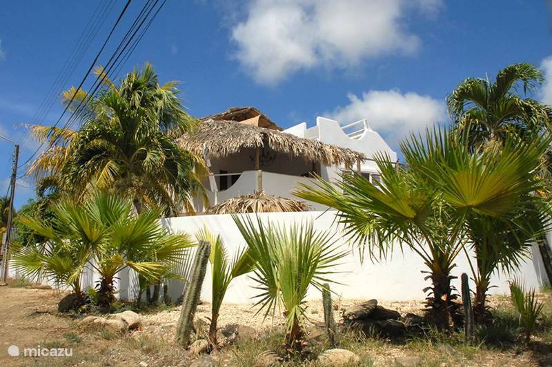 Vacation rental Bonaire, Bonaire, Kralendijk Apartment Spacious apartment on top location