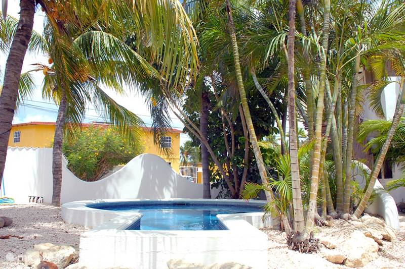 Vacation rental Bonaire, Bonaire, Kralendijk Apartment Spacious apartment on top location