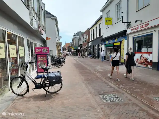 bungalow huren in Nederland, Gelderland, Putten – Frederiksoord 4 Dorpsstraat