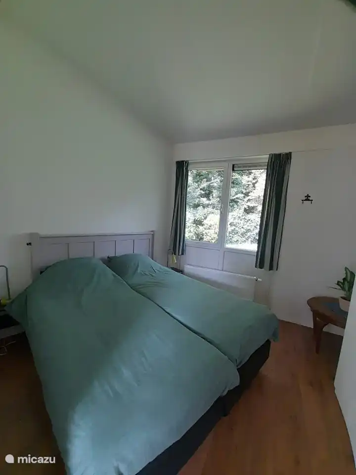 Large bedroom with 2 box spring beds.