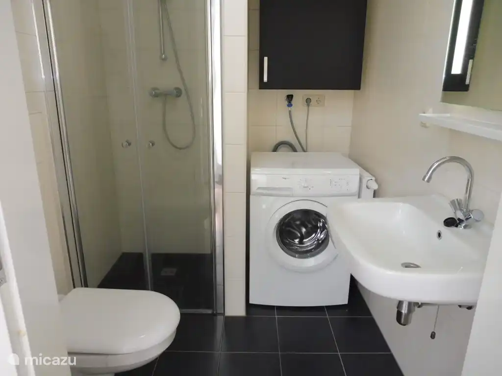 Luxury bathroom with walk in shower, toilet, sink and washing machine