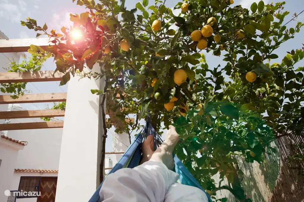 Het voorterras met de hangmat (en een klamboe)....heerlijk in de schaduw van de nispero.