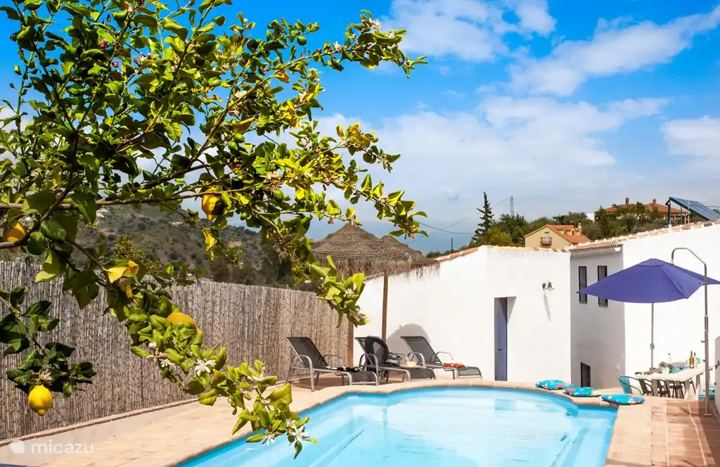 Het zwembad vanuit de tuin.