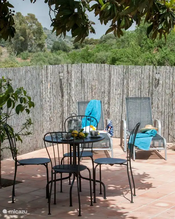 En overal vindt u zitjes.