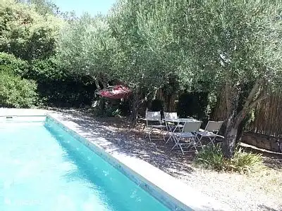 Hamaca bajo los olivos