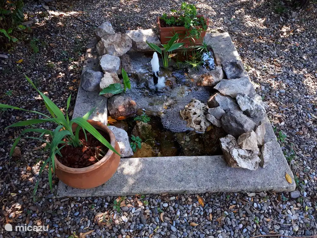 Estanque apto para niños con peces dorados