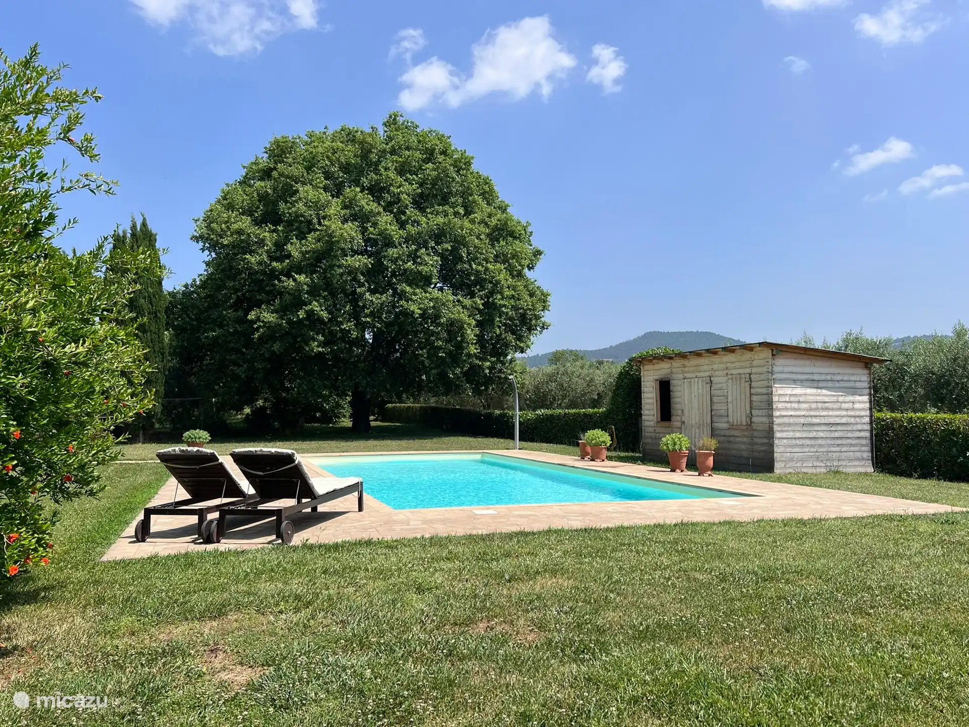 Zwembad met tuinhuisje.