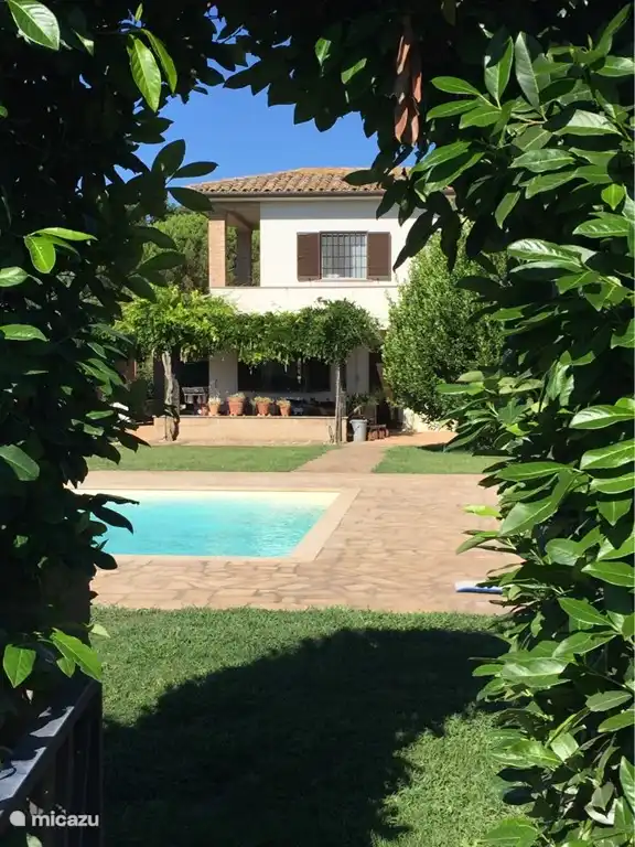 Een doorkijkje vanuit de olijvengaard.