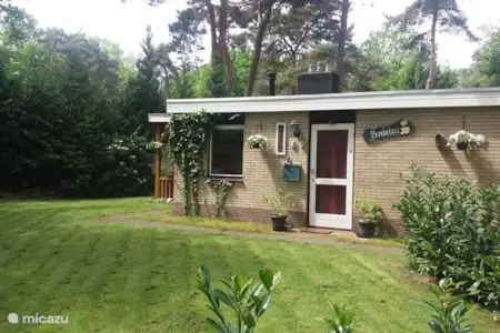 Get Vakantiehuis In Rheezerveen Overijssel Nederland Huren Micazu Desktop Wallpaper Free Wallpaper Vakantiehuis In Rheezerveen Overijssel Nederland Huren Micazu For Android Free