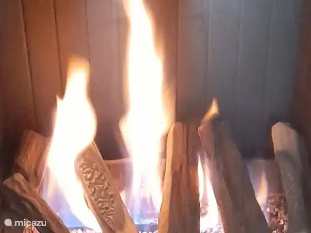 Bunderbos huren in Nederland, Overijssel, Ommen - bungalow Sfeervolle gashaard
