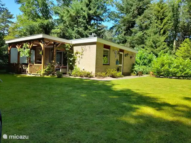 Bunderbos huren in Nederland, Overijssel, Ommen - bungalow Tuin met veranda