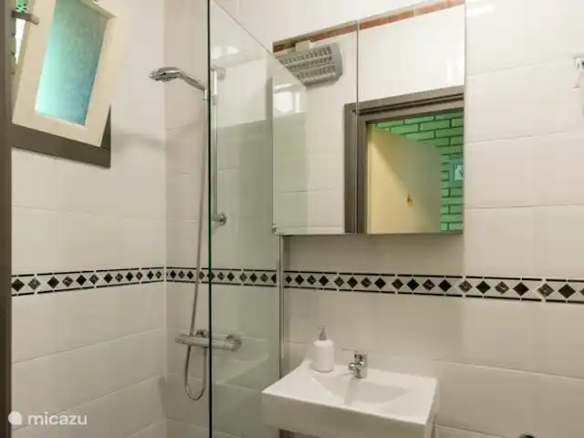 Bunderbos huren in Nederland, Overijssel, Ommen - bungalow De moderne doucheruimte