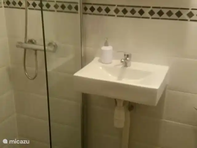 Bunderbos huren in Nederland, Overijssel, Ommen - bungalow De douche en toilet