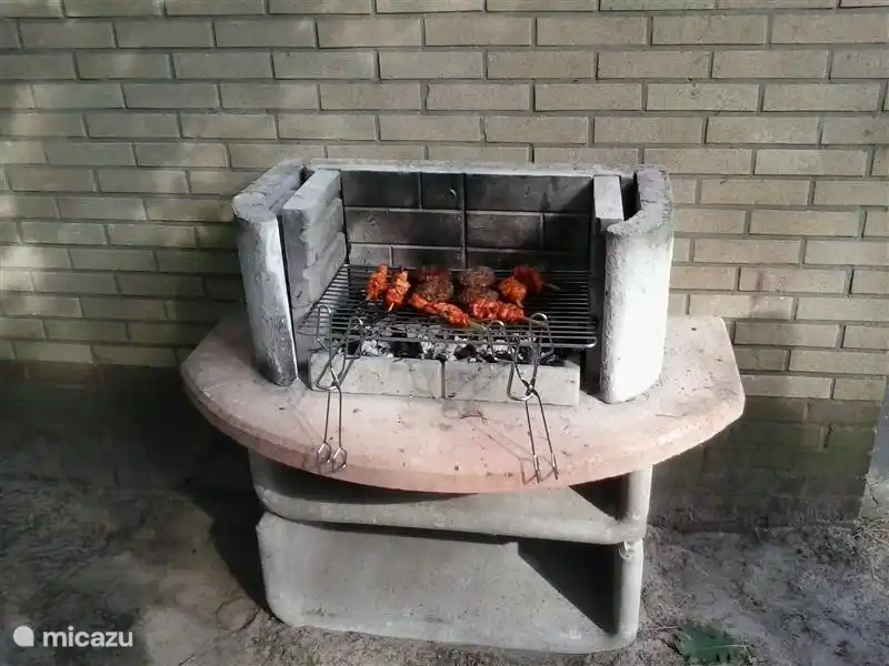 De tuinhaard/barbecue