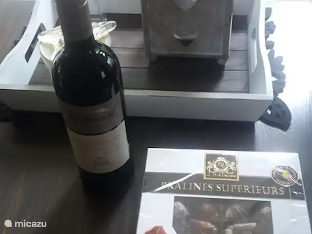 Bunderbos huren in Nederland, Overijssel, Ommen - bungalow Gastvrijheid