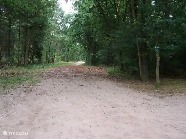 Uitgebreide wandelmogelijkheden bij het park