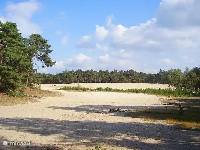 Zandverstuiving De Sahara bij Ommen