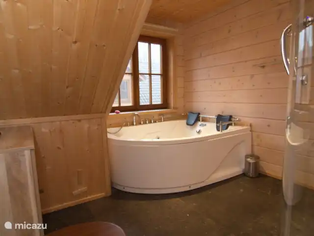 Houten villa Albert huren in Nederland, Overijssel, Den Ham - vakantiehuis Badkamer