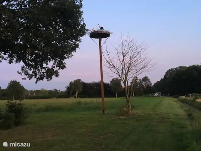 Houten villa Albert huren in Nederland, Overijssel, Den Ham - vakantiehuis Fam. Ooievaar