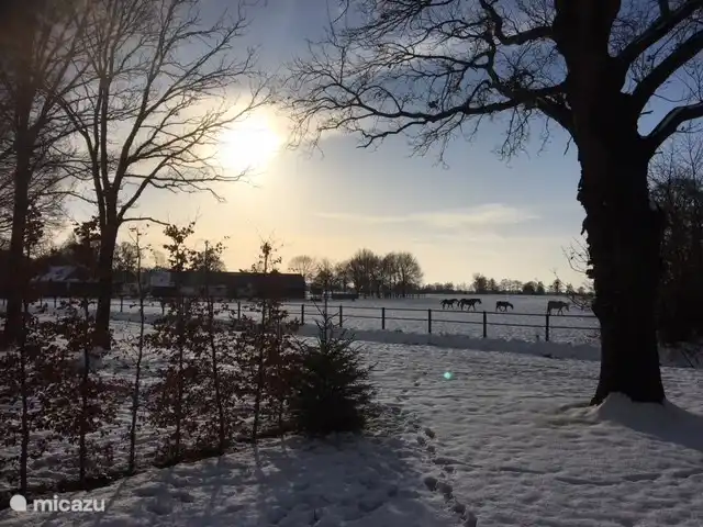 Houten villa Albert huren in Nederland, Overijssel, Den Ham - vakantiehuis Winter